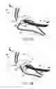 Fig. 09 - Compressible running bag