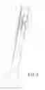 Fig. 04 - TELESCOPIC LEG STRUCTURE OF TABLE