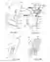 Fig. 18 - Seating arrangement with headrest assembly