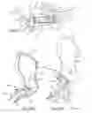 Fig. 30 - Seating arrangement with headrest assembly
