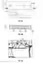 Fig. 12 - Spike-style toasting device