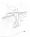 Fig. 03 - Support Device