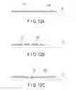 Fig. 12 - Medical apparatus