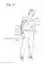 Fig. 15 - LIVE HOLTER