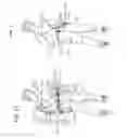 Fig. 16 - LIVE HOLTER