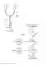 Fig. 06 - System and method for dynamically adjusting patient therapy