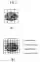 Fig. 18 - RADIATION TOMOGRAPHIC APPARATUS
