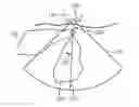 Fig. 01 - Lung tissue identification in anatomically intelligent echocardiography