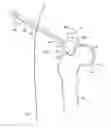 Fig. 01 - SYSTEM AND METHOD FOR IMAGE-GUIDED ARTHROSCOPY