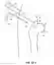 Fig. 37 - SYSTEM AND METHOD FOR IMAGE-GUIDED ARTHROSCOPY