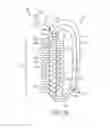 Fig. 03 - Continuous braided closed loop implant