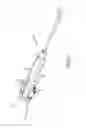 Fig. 06 - Method and system for ligating a body part