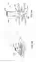 Fig. 33 - METHOD AND APPARATUS FOR TREATING VARICOSE VEINS