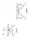 Fig. 40 - METHOD AND APPARATUS FOR TREATING VARICOSE VEINS