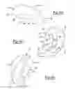 Fig. 04 - Apparatus and method for repairing bone defects
