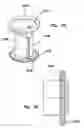 Fig. 21 - Natural orifice surgery system