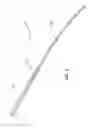 Fig. 02 - DISTALLY ORIENTED NEEDLE OBTURATOR