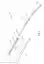 Fig. 03 - DISTALLY ORIENTED NEEDLE OBTURATOR