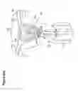 Fig. 100 - RECOVERY AND PROCESSING OF HUMAN EMBRYOS FORMED IN VIVO