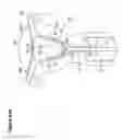 Fig. 101 - RECOVERY AND PROCESSING OF HUMAN EMBRYOS FORMED IN VIVO