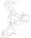 Fig. 12 - RECOVERY AND PROCESSING OF HUMAN EMBRYOS FORMED IN VIVO