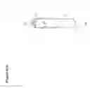 Fig. 80 - RECOVERY AND PROCESSING OF HUMAN EMBRYOS FORMED IN VIVO