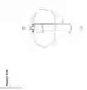 Fig. 81 - RECOVERY AND PROCESSING OF HUMAN EMBRYOS FORMED IN VIVO