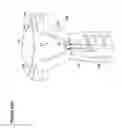 Fig. 84 - RECOVERY AND PROCESSING OF HUMAN EMBRYOS FORMED IN VIVO