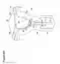 Fig. 91 - RECOVERY AND PROCESSING OF HUMAN EMBRYOS FORMED IN VIVO