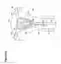 Fig. 98 - RECOVERY AND PROCESSING OF HUMAN EMBRYOS FORMED IN VIVO