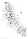 Fig. 04 - Spinal correction adjustment systems and methods