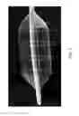 Fig. 08 - Wall thickness compensation during laser orifice drilling