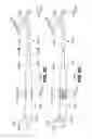 Fig. 10 - Endovascular navigation system and method