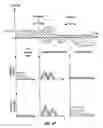 Fig. 48 - Endovascular navigation system and method