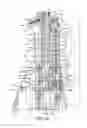 Fig. 10 - ORAL IRRIGATOR