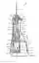 Fig. 15 - ORAL IRRIGATOR