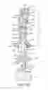 Fig. 17 - ORAL IRRIGATOR