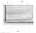 Fig. 03 - Fenestrated bone graft