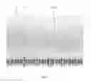 Fig. 04 - Fenestrated bone graft