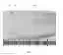 Fig. 02 - Tasseled bone graft