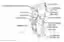 Fig. 01 - LOWER EXTREMITY EXOSKELETON FOR GAIT RETRAINING