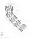 Fig. 03 - Marker and Stent