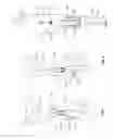 Fig. 03 - Orthopedic device having a dynamic control system and method for using the same