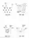 Fig. 07 - SYSTEM, METHOD AND ARRANGEMENTS FOR MODIFYING OPTICAL AND MECHANICAL PROPERTIES OF BIOLOGICAL TISSUES