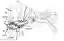 Fig. 01 - External ear canal pressure regulation device