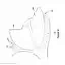 Fig. 17 - Garment