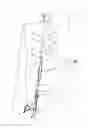 Fig. 01 - Method and apparatus for penis enlargement