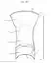 Fig. 07 - Method and apparatus for penis enlargement