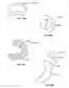 Fig. 53 - DEVICES AND METHODS FOR PROMOTING FEMALE SEXUAL WELLNESS