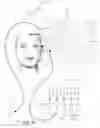 Fig. 32 - System and Method for Treating Skin and Underlying Tissues for Improved Health, Function and/or Appearance